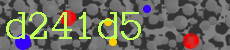 d241d5